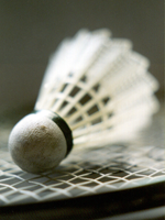 Badminton.png