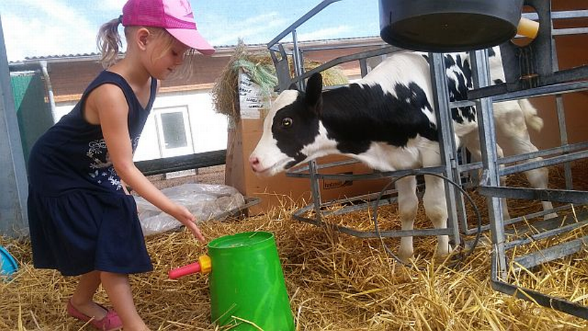 Ferien am Ort 2018